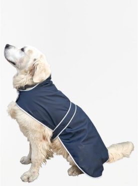 HUNDE